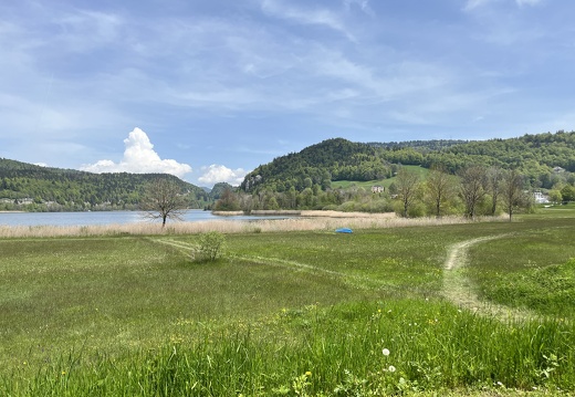 23-05-21 12-43-16 5517